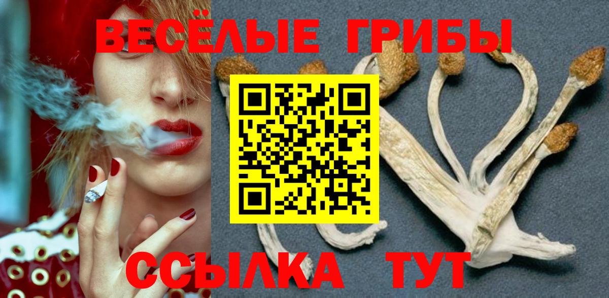 Псилоцибиновые грибы мицелий  Вход с VPN  Псилоцибиновые грибы ЛСД  Горячий Ключ 
