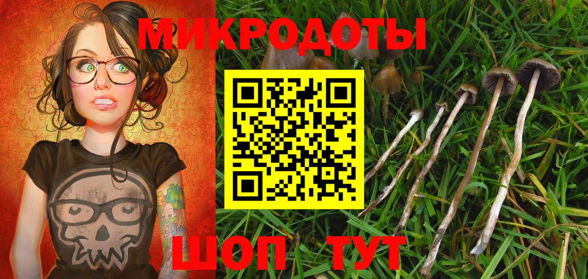 Псилоцибиновые грибы прущие грибы Горячий Ключ